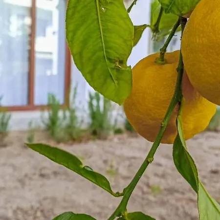Lemon Garden Apart Datca-1 Апартаменты